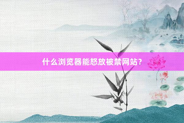 什么浏览器能怒放被禁网站？
